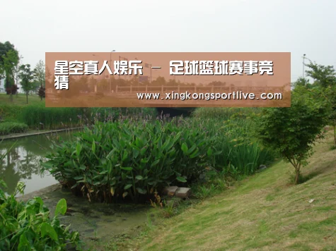 案例展示四(图1)