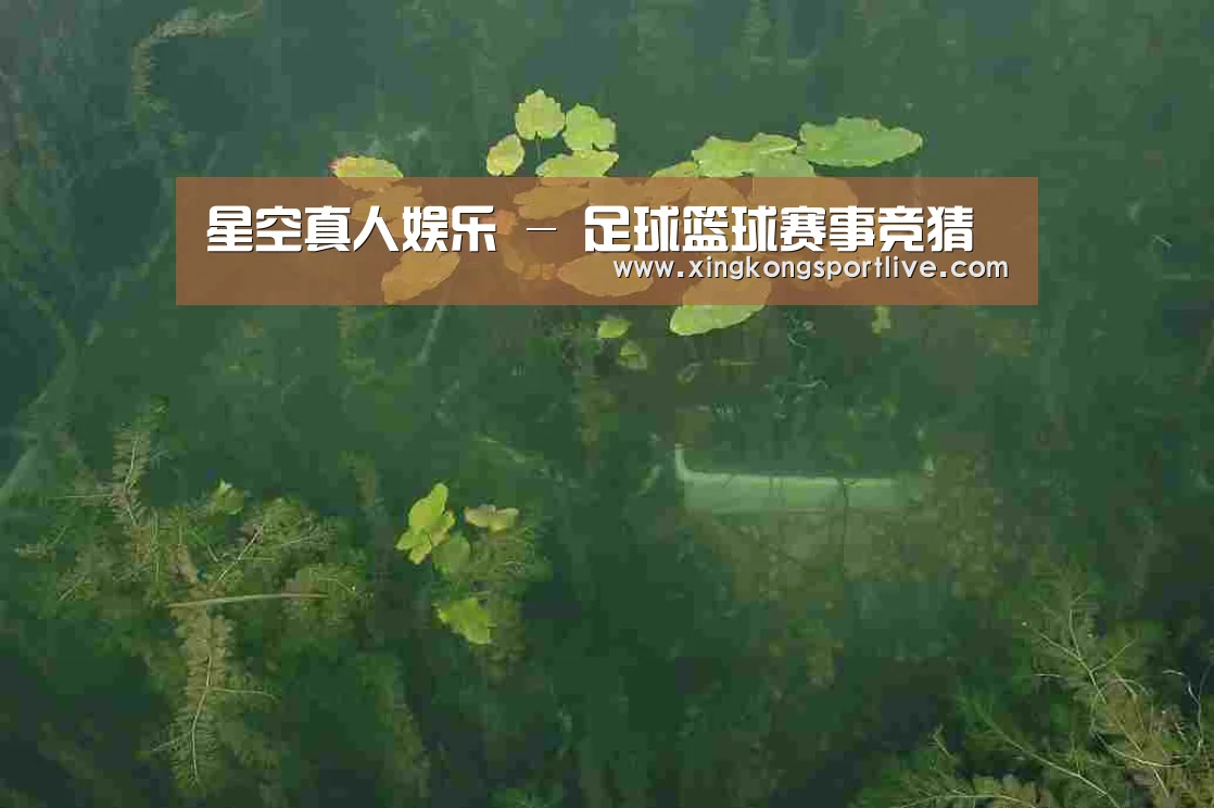 案例展示三(图1)