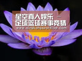 产品名称六