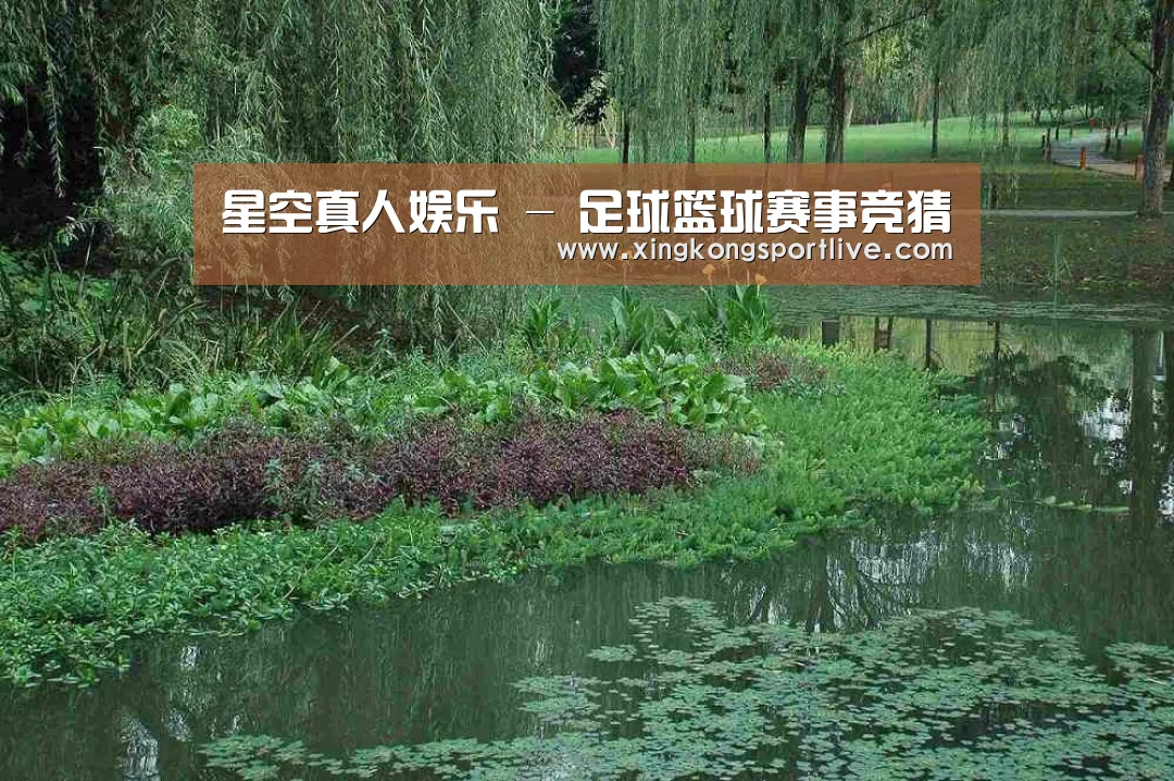 案例展示一