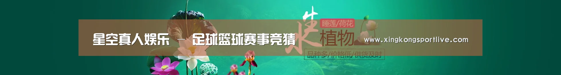 鲜花水草花卉网站模板